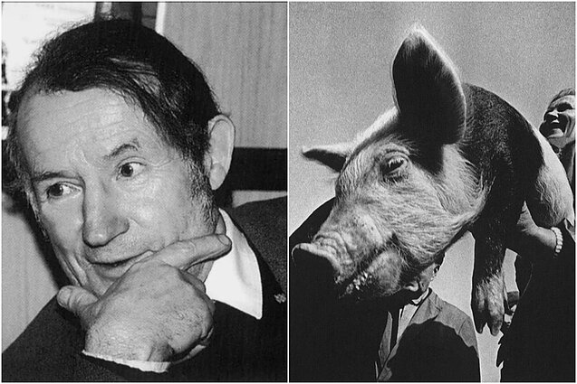 MO muziejuje nauja fotografijos paroda – „10 Lietuvos fotografijos istorijų“