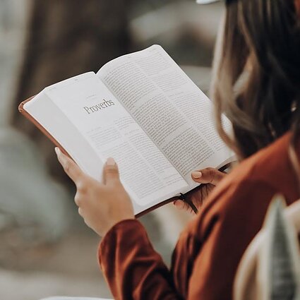 Ryto allegro. Prasideda „Literatūrinės slinktys“