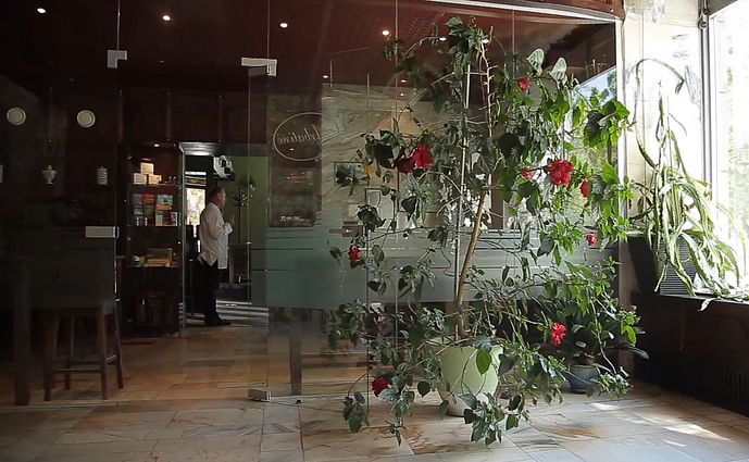 Viena pirmųjų veganiškų kavinių Lietuvoje: nors meniu keičiasi nuolat, interjeras nekinta dešimtmečius