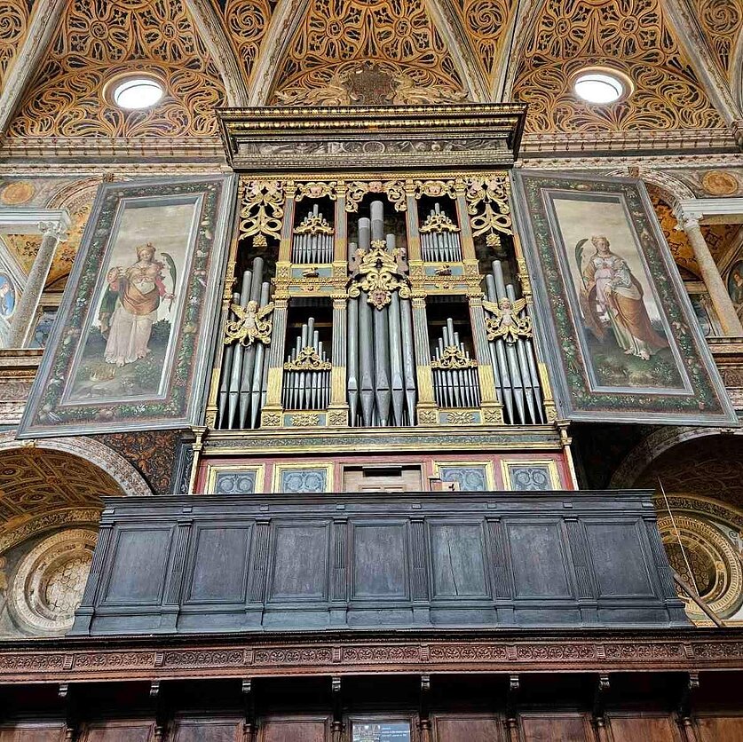 Mažoji studija. Henris Nouwenas, „sužeistas gydytojas“ ir įspūdžiai ir Pranciškaus vizito Slovakijoje