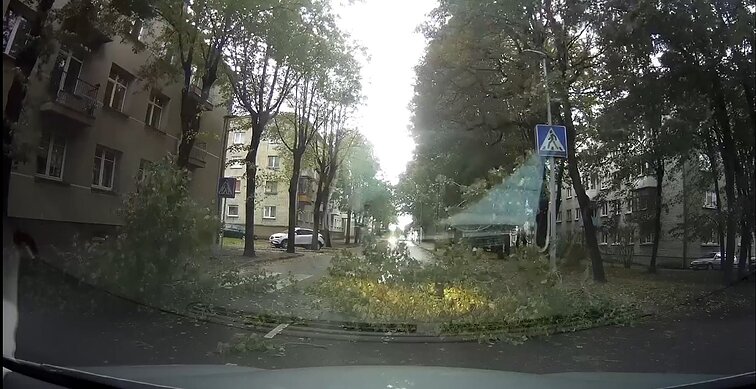 Uostamiestyje stiprus vėjas varto medžius: krentančios šakos trikdo eismą