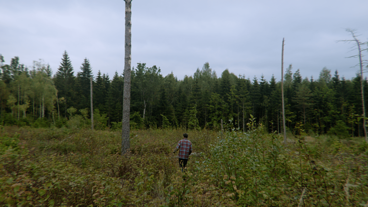 Aš tam medžiui genys