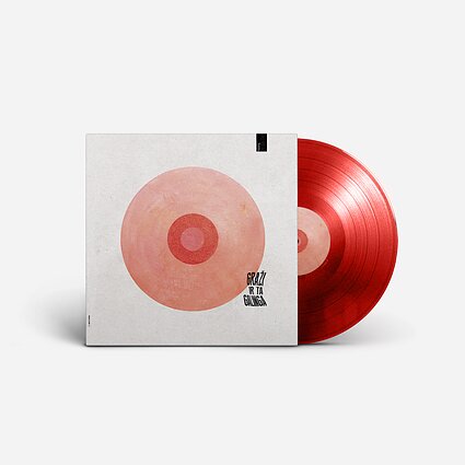 Grupės „Graži ir ta galinga“ plokštelė