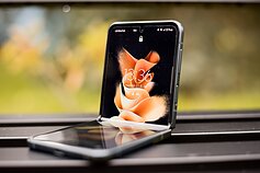 „Samsung Galaxy Z Flip3“