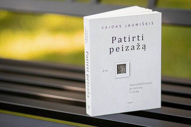 „Patirti peizažą. Pasivaikščiojimai po miestą ir laiką“, Vaidas Jauniškis