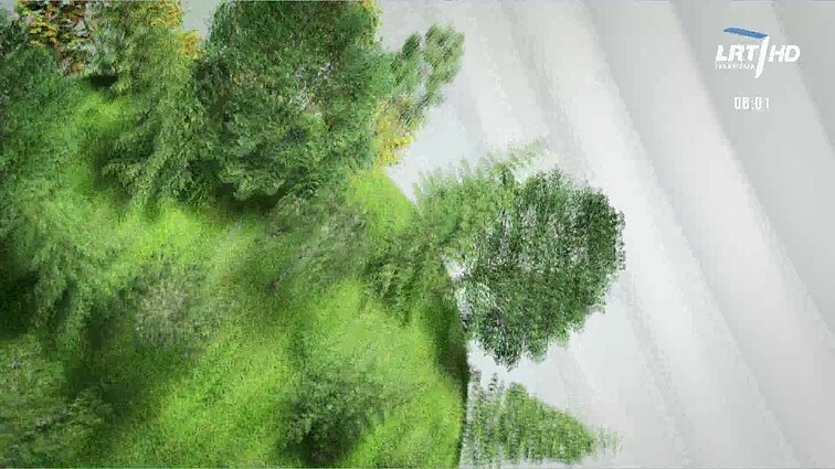 Labas rytas, Lietuva