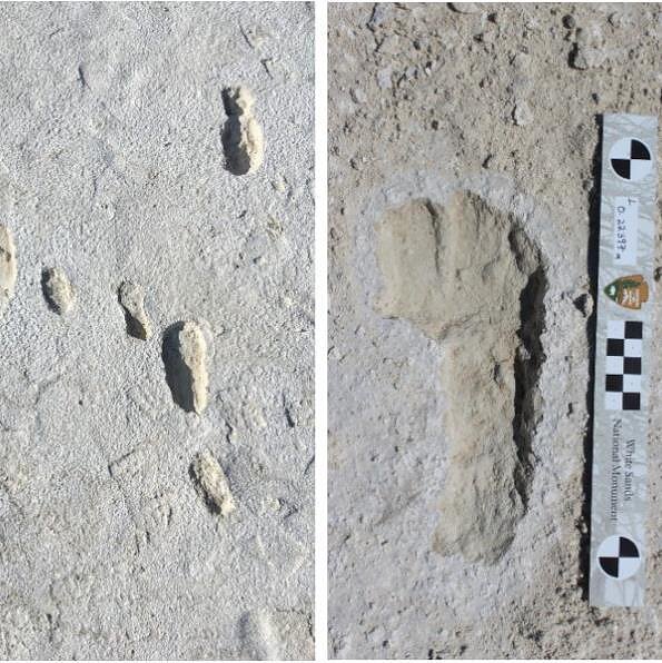 US National Parks Service, Mokslas skubantiems. Įdomūs homo sapiens pėdsakai ir lietuviškas naujojo koronaviruso detektyvas