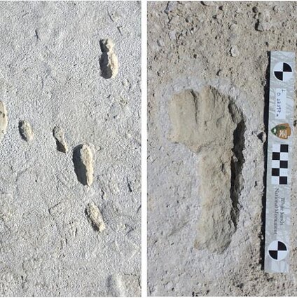 Mokslas skubantiems. Įdomūs homo sapiens pėdsakai ir lietuviškas naujojo koronaviruso detektyvas
