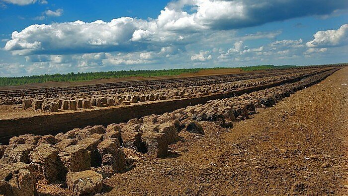 Žinios. Estijos mokslininkai siūlo pigią ir ekologišką elektromobilių baterijų išeitį – elementus gaminti iš durpių