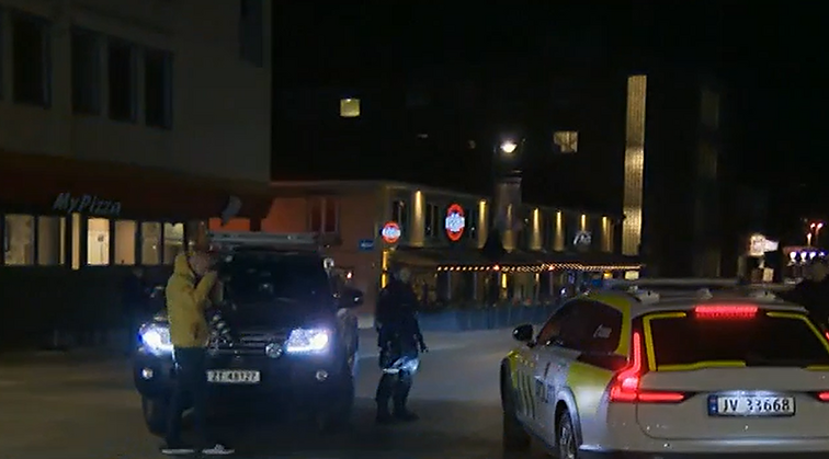 Šešelgytė apie terorizmo grėsmę: visuomenės susiskaldymas ir radikalėjimas – kaip degusis skystis