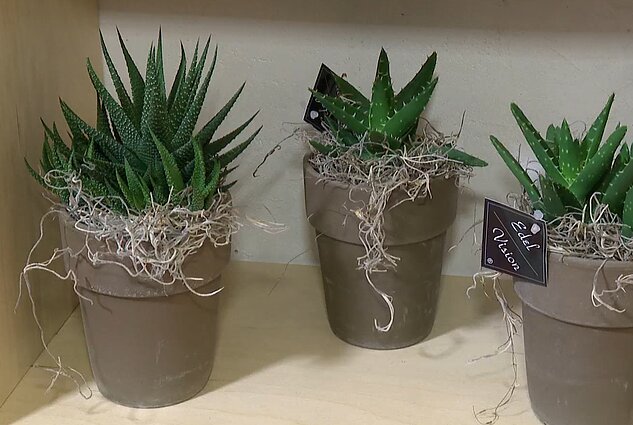 Keramikos ir gėlių dermė: menininkės sostinėje kuriami darbai stebina unikalumu