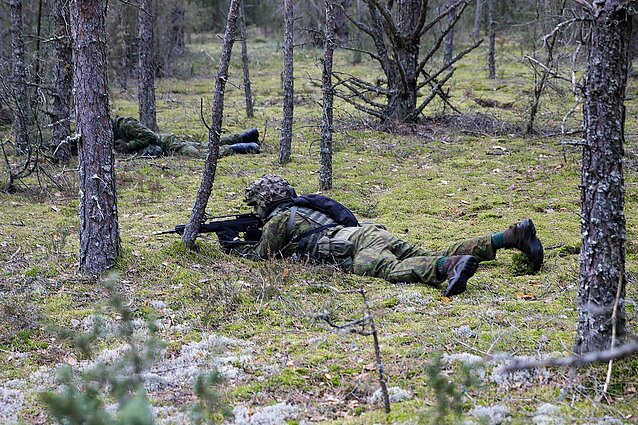 Anušauskas tikina, kad poligone Rūdninkuose karinė veikla bus detaliai suderinta su aplinkosaugos reikalavimais