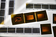 Parodos „Kelias į laisvę“ atidarymas