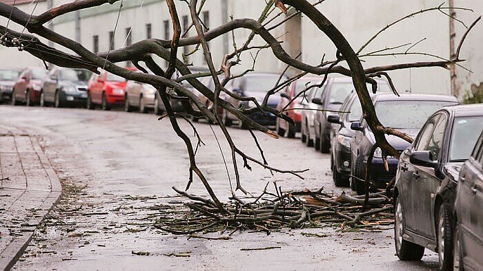 Į šalį atkeliaujant audrai, sinoptikė perspėja: saugokite save ir savo turtą – stiprus vėjas laužys šakas