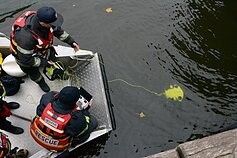 Dingusio klaipėdiečio paieškos Danės upėje