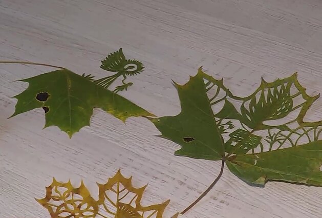 Tvarus menas: uteniškė kuria karpinius iš rudeninių lapų