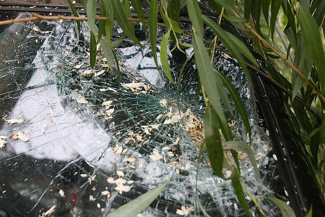 Lietuva išgyveno audringą naktį: tačiau stiprūs vėjai dar nerims ir šiandien