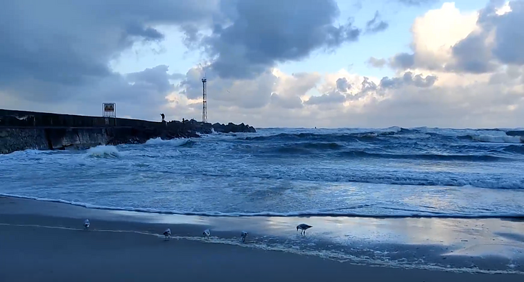 Pajūryje siaučia stiprus vėjas: jūroje bangų aukštis penktadienį siekia apie 4,5-5 metrus