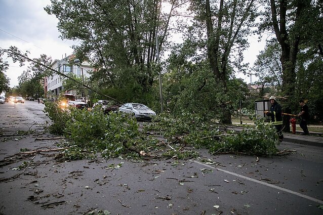 Žinios. Dėl smarkaus vėjo ugniagesiai 43 kartus vyko šalinti nuvirtusių medžių