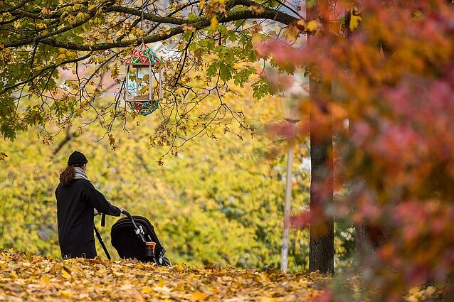 Meteorologas: ilgąjį savaitgalį prognozuojami spaliui ir lapkričiui nebūdingi šilti orai