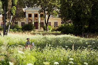 Filmas „Drugelio širdis“