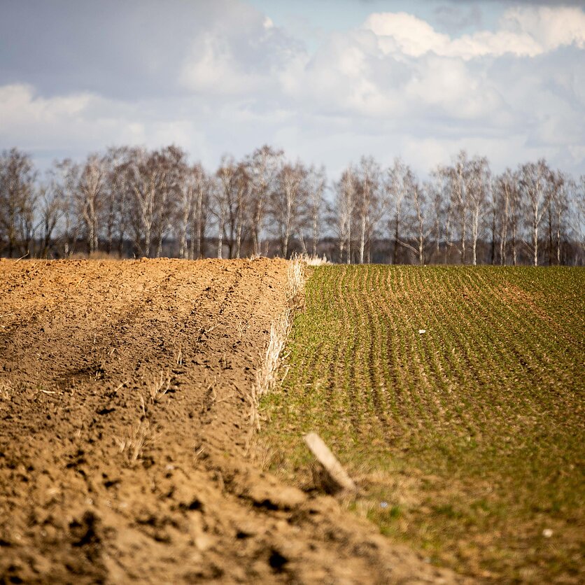 E. Blažio / LRT nuotr., Radviliškis