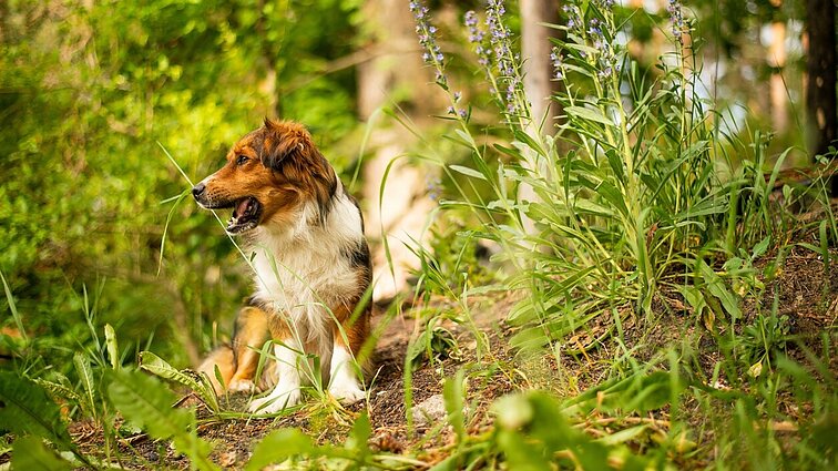 Paskutinio rudens mėnesio orai: neįprastai šilta lapkričio pradžia, tačiau lietaus nepavyks išvengti