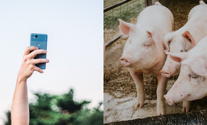 Vartotojų kontrolė. Fotomenininkų patarimai geriausio kadro paieškose ir apsauga nuo kiaulių gripo