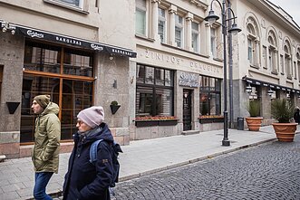 Naktinis Vilniaus avilys