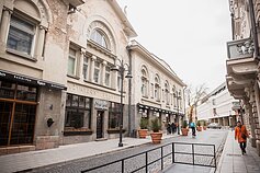 Naktinis Vilniaus avilys