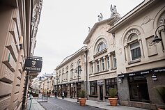 Naktinis Vilniaus avilys