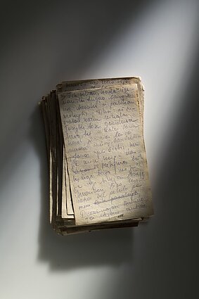 Daugybę kartų publikuotas, bet niekuomet neeksponuotas.  Parodoje pristatomas stiklainyje slėptas tremtinės D. Grinkevičiūtės rankraštis