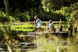 Filmas „Drugelio širdis“
