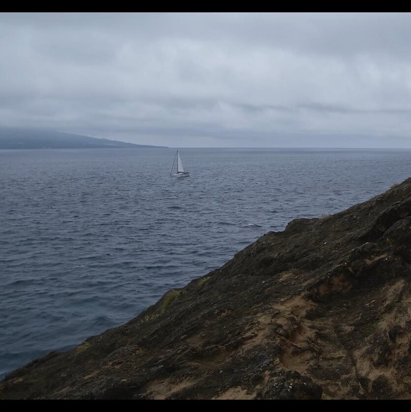 Pilno metro. Albinos Griniūtės „Šaukiniai iš tolimo uosto“
