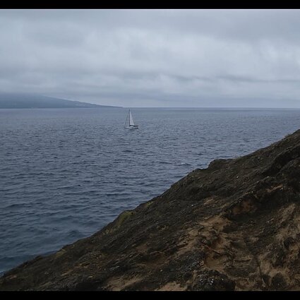 Pilno metro. Albinos Griniūtės „Šaukiniai iš tolimo uosto“