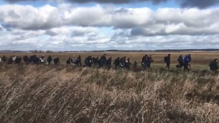 Panorama. Minsko režimas toliau kelia įtampą pasienyje su Lietuva: jėga susodino ir iki sienos atvežė 70 migrantų