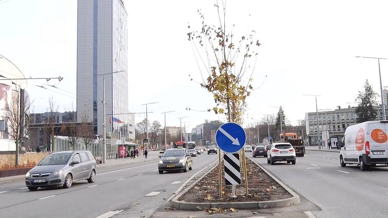 Keliai. Mašinos. Žmonės. (Ne)saugus gatvių siaurinimas Vilniuje ir automobilių atšaukimų priežastys