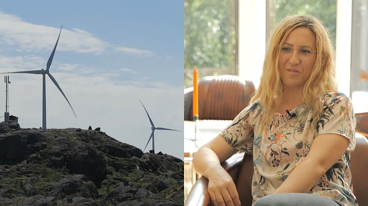 Edita Vokietijoje melžė karves, Šveicarijoje skynė obuolius, Norvegijoje dirbo valytoja, o dabar skaičiuoja milijonus, kuriuos atnešė vėjo malūnai.