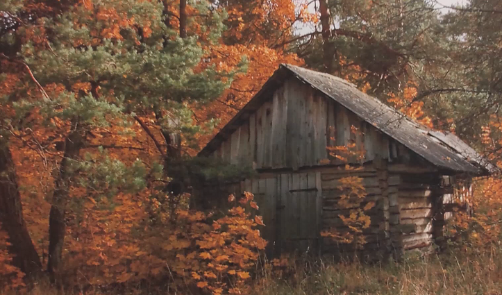 Vilniaus sąsiuvinis. Natalijos Doraš fotografijos darbų paroda „Šaknys“