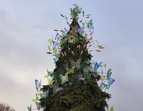 Kaunas pristato kalėdinę eglę ir šventinius renginius