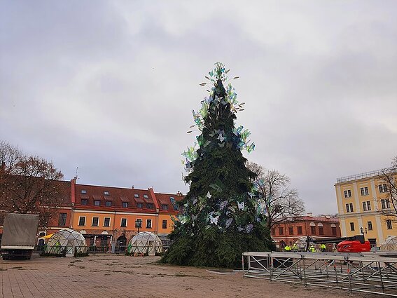 Vasariška atmosfera žiemą: Kauno Kalėdų eglėje nutūps drugeliai