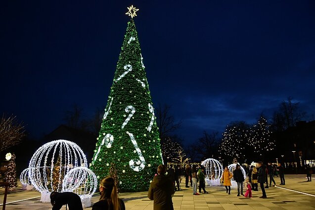 Panevėžys Christmas tree
