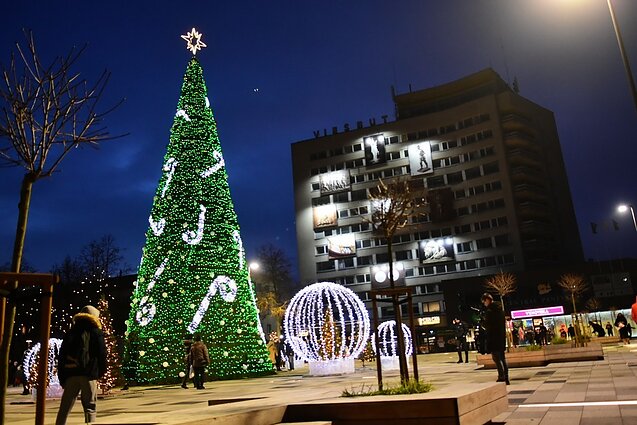 Panevėžio Kalėdų eglė