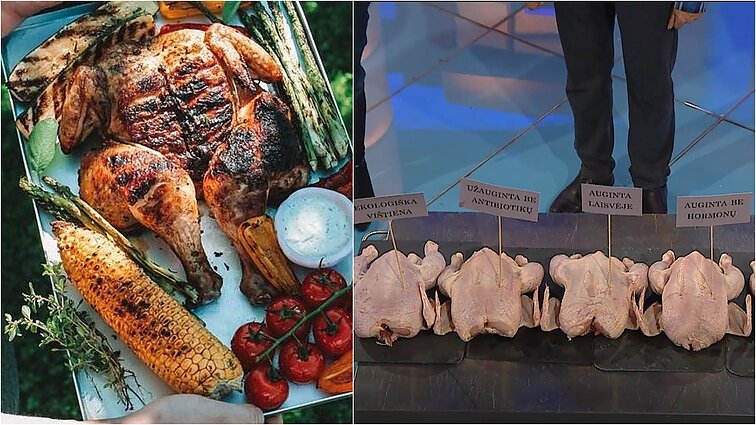 Populiauriausios pasaulio mėsos skonis – kitoks nei anksčiau: gastronomijos istorikas atskleidžia, kodėl vištienos skonis per laiką pakito
