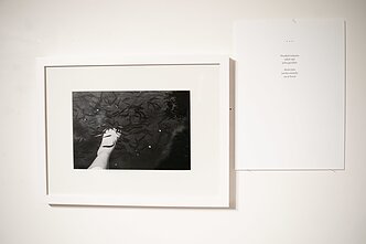  Dovilės Zelčiūtės ir Mildos Kiaušaitės paroda „Palengva (ati)tirpsta“ 