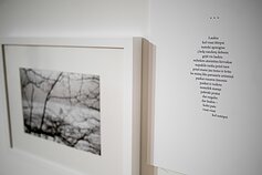  Dovilės Zelčiūtės ir Mildos Kiaušaitės paroda „Palengva (ati)tirpsta“ 