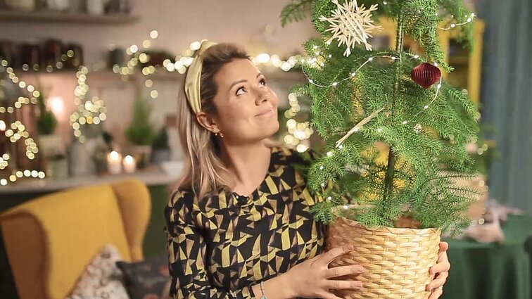 Beatos virtuvė. Lietuviškas sušis, senosios advento dainos, spanguolių putėsiai ir meduolinio namo statyba