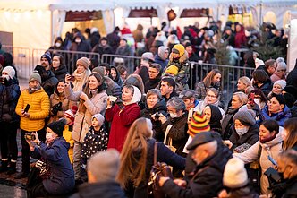 Vilniaus Rotušėje įžiebta kalėdinė eglė
