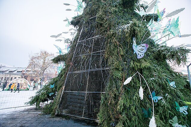 Panorama. Naktį liepsnojusi Kauno kalėdinė eglė, šventinę išvaizdą, žadama, atgaus tik kitą savaitę