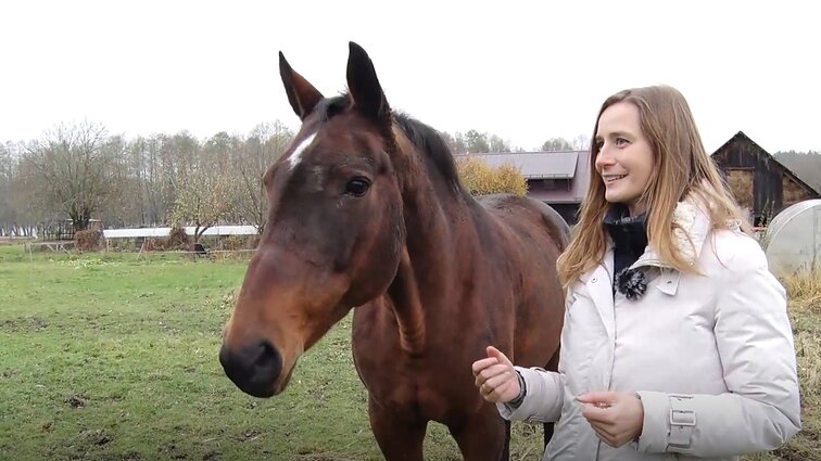 Žirgų terapija ir haskių draugija kaime: į sodybą persikėlusi šeima džiaugiasi galėdama užsiimti mylima veikla